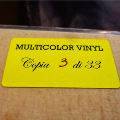 Raccomandata Con Ricevuta Di Ritorno - Il Pittore Volante (Vinile Colorato) - immagine 2