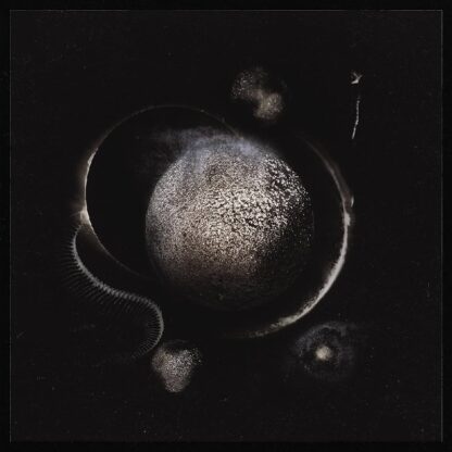 Enthroned - Cold Black Suns (Vinile Colorato)